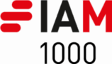 IAM 1000 Patents for individuals awards